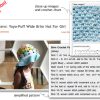 Edited Version Of Yoyo-Puff Hat