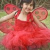 Ladybug Tutu Halloween Costume