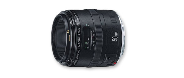 Canon f2.5 50mm macro lens