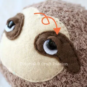 detail sloth eyes