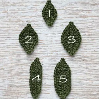 how to crochet leaf variations