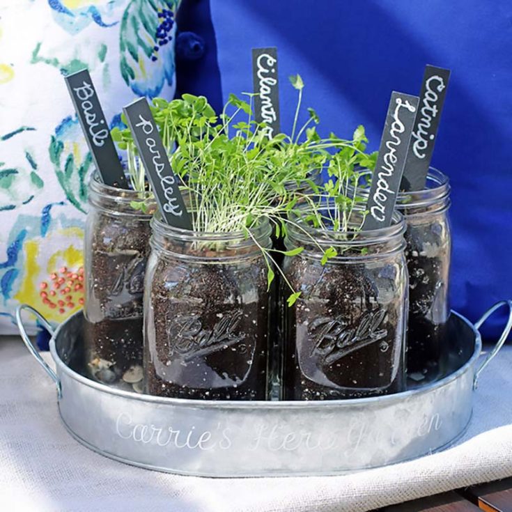 Lets practice eating healthy by growing some of your herbs in your garden. Use jars that you have laying around and get planting! They look pretty while produce healthy alternatives.