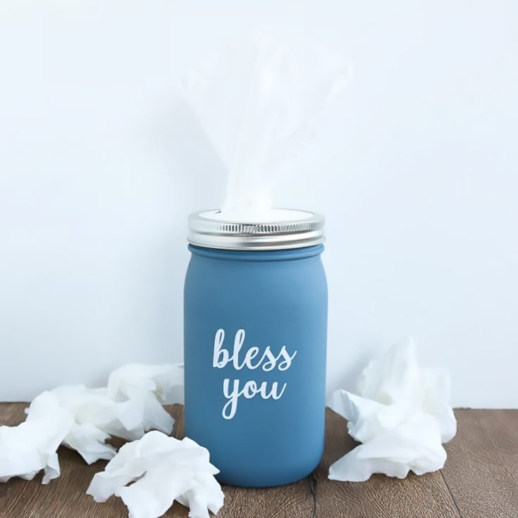 More stylish than your regular tissue box, these guys hold the perfect look around your home. Inscribe funny and corny jokes onto the jar and paint them with different colors. They also make the perfect gift for your friends or family.