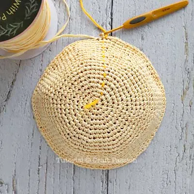 crochet with raffia yarn