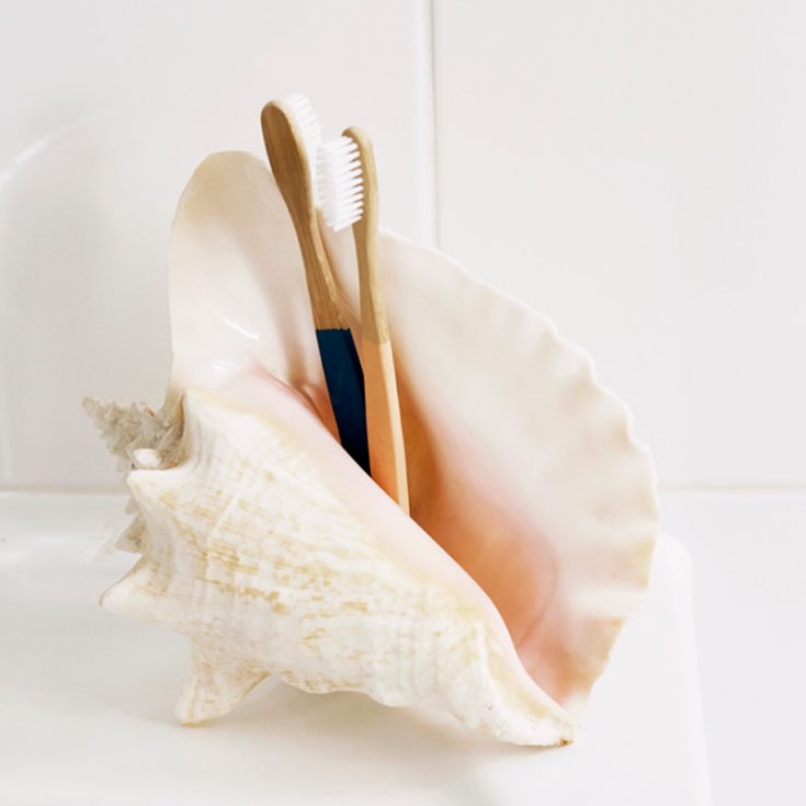 A conch shell makes for a playful and stylish toothbrush holder, adding a subtle beachy vibe to your bathroom decor. It's a subtle way to introduce seaside charm while keeping things functional. Plus, it's a lovely way to showcase that beautiful shell you picked up!