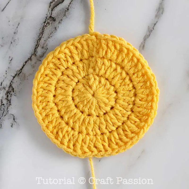 crochet circle with double crochet stitch