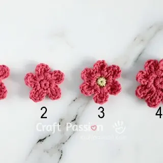 simple crochet flower variations