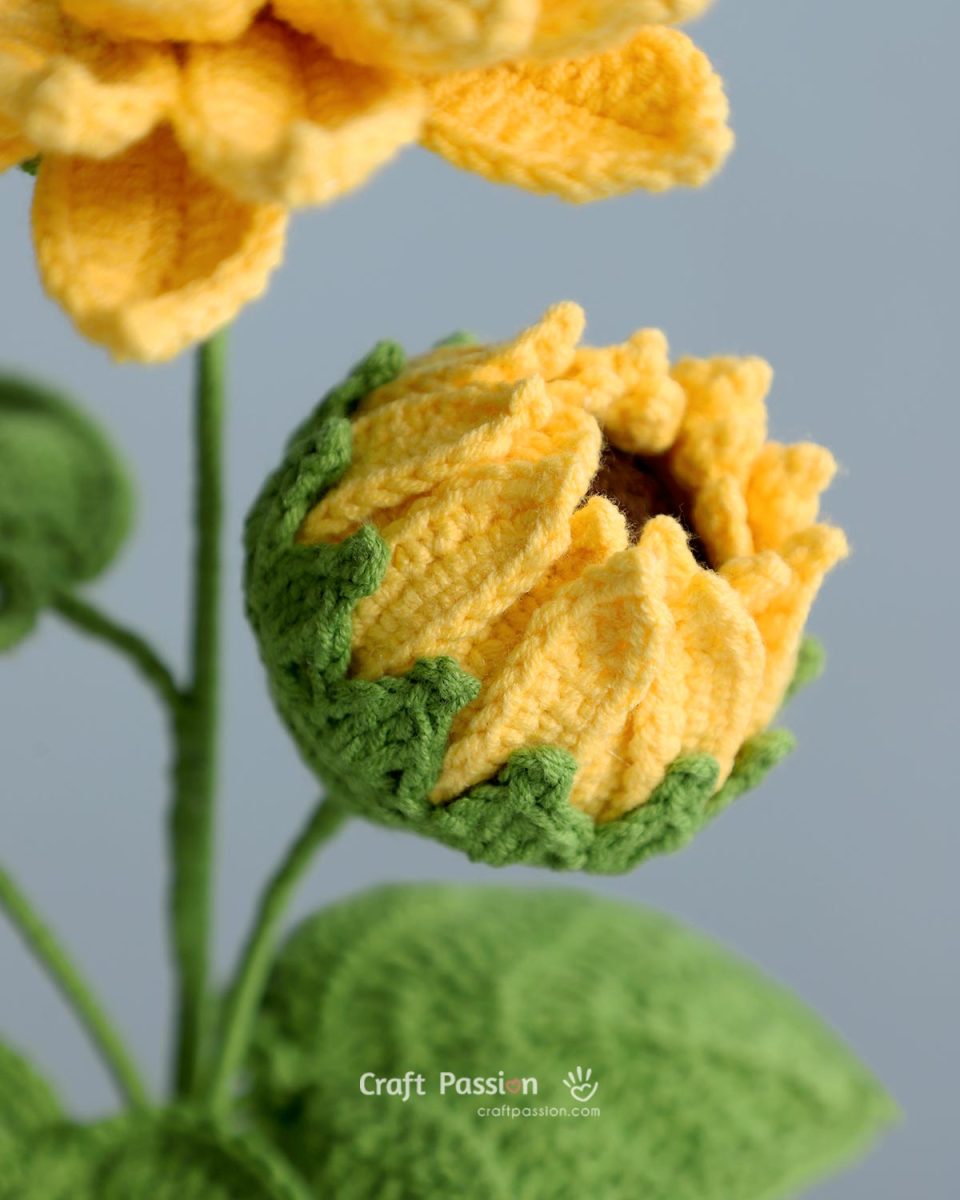 Complete Half Pattern Free Crochet Sunflower Pattern – 3 Blooming Stages