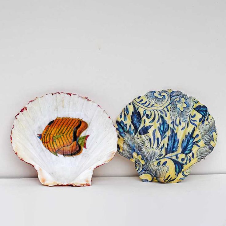 Turning shells into elegant pieces with a fine pattern is a delightful project, making them perfect gifts or charming additions to your home. Choose images that inspire you, like fish illustrations and patterns, to create sophisticated art pieces.