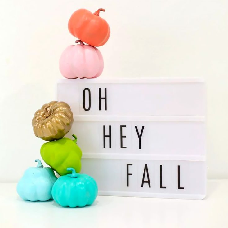Want some quick and easy ideas to paint on pumpkins? Here is this DIY, easy spray-painted pumpkin tutorial for you.