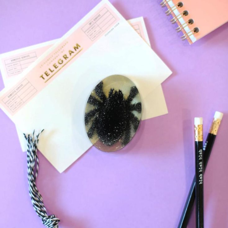 Hold down the eerie night using this craft tutorial! Get thrilled as you watch this spider crawl across your pages at night. It makes the perfect craft as it is so practical!