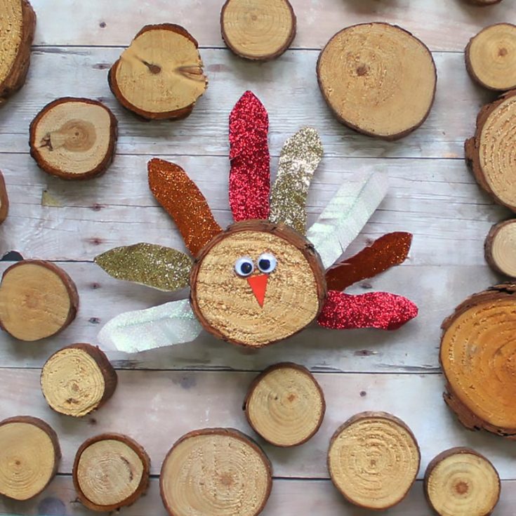 Get ready to embrace this Thanksgiving season with this craft. Bring the outdoors inside by making these earthy turkey friends. On top of that, it adds a natural rustic touch to your decor!
