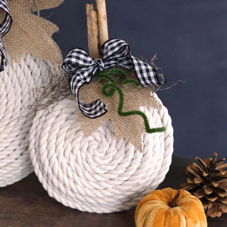 How creative is this? Using some rope you can purchase at the Dollar Store, you can create some beautiful and unique pumpkins! Explore the cute side of Halloween and make some pumpkins that are so cute!