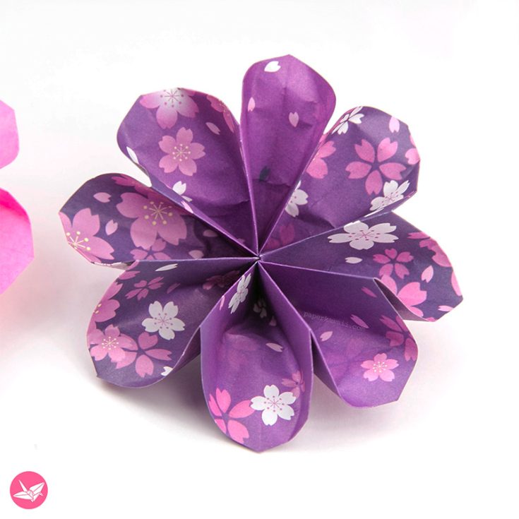 Do you want a more unusual and one-of-a-kind flower? This lovely 8-petal flower origami creation might just do the trick. Personally, I think it's a great embellishment for gift packaging.