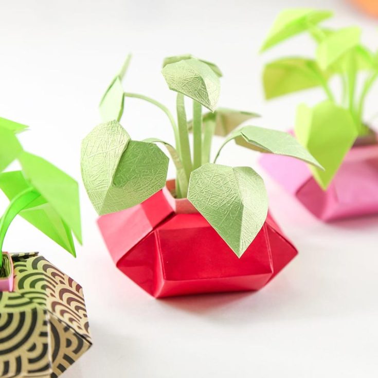 How about something more decorative? Just look at how adorable these origami pots are! You can also check out how to make Origami Succulents to complement these wonderful pots!