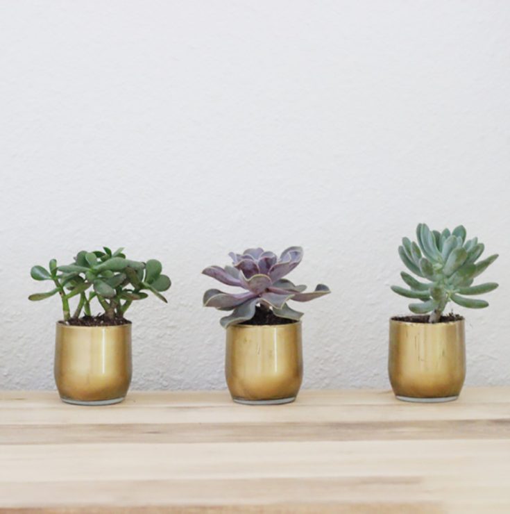 With $1 juice glasses and gold paint, you can easily make these gold succulent vases. Line your study desk with them as decoration or gift it to friends and family as a simple housewarming present.