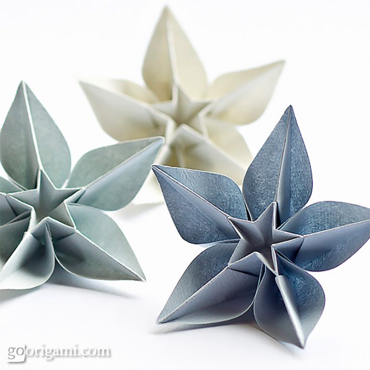 Want some more unconventional flowers? Give this simple carambola flower origami a go.