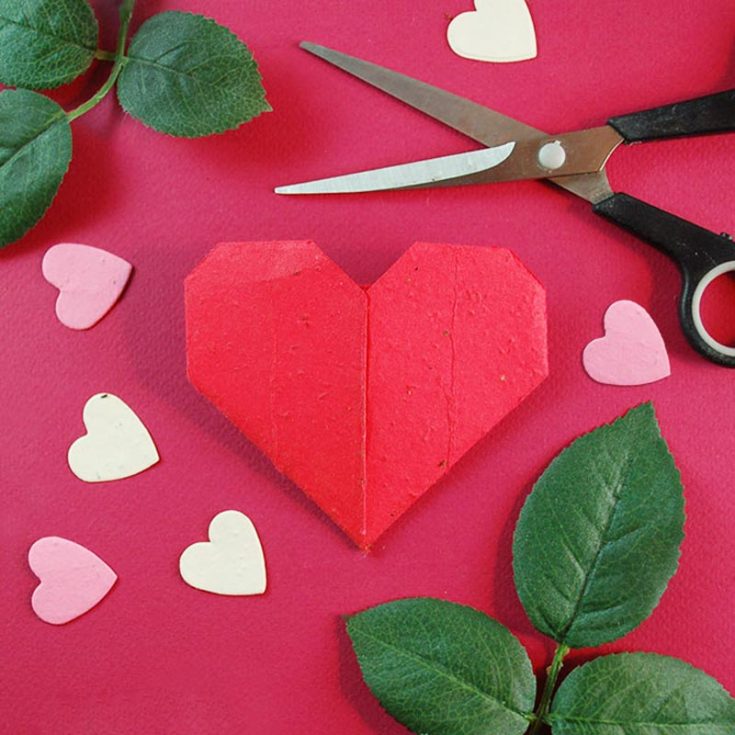 Love is something that requires you to nurture and grow. This origami paper seed is a wonderful physical metaphor, growing the origami heart into a beautiful, vibrant flower. Pick up some seed paper, and make this easy origami heart for your lovely botanist family and friends!
