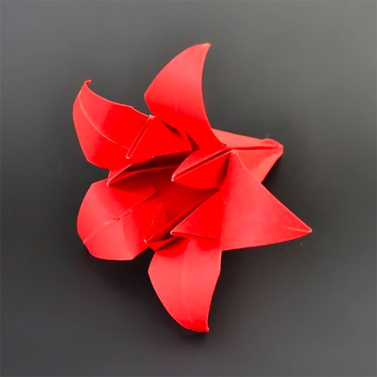 Here is another version of the origami iris. This video shows how to make a 5 petals origami iris.