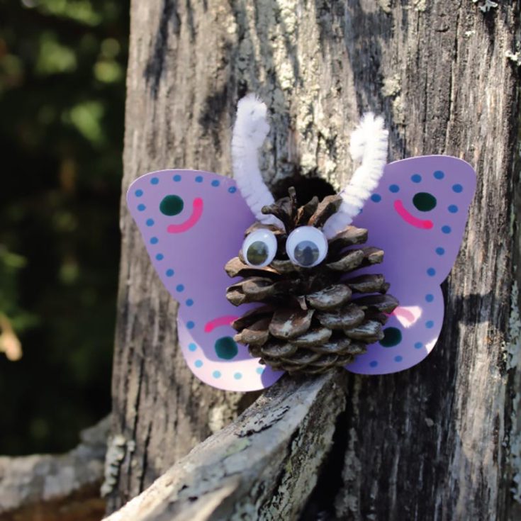 Introducing an exciting addition to the mix. Get dirty and out in the woods to find a pinecone to get started. We love it as it adds a natural element to the craft, making it more special.