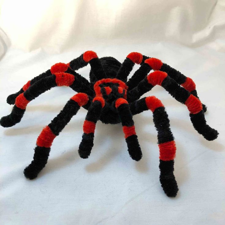 With its hairy legs and beady eyes, this creepy-crawly craft is perfect for Halloween decorations or as a spooky addition to any bug-themed collection. Follow this step-by-step instruction on how to make this crawly arachnid.