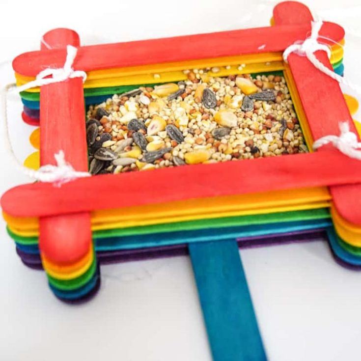 If you have some leftover popsicle sticks from the previous craft we mentioned, you should definitely try out this project! What better way to commemorate Earth Day than to spend it by giving back to nature? It&rsquo;s honestly the coolest way to treat your backyard buddies to a stylish meal on a stick!