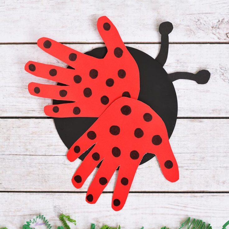 Here is another craft that is perfect to try with your kids at home! If you have some old CDs to throw out, save some by upcycling them into this adorable and charming ladybug craft. Your kids will absolutely love them, trust us!
