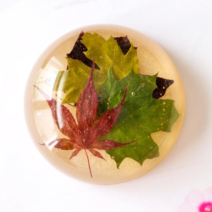 You can incorporate so many elements into your resin craft paperweights. From leaves to succulents, create everlasting memories with pieces of moments encapsulated within your resin paperweights.