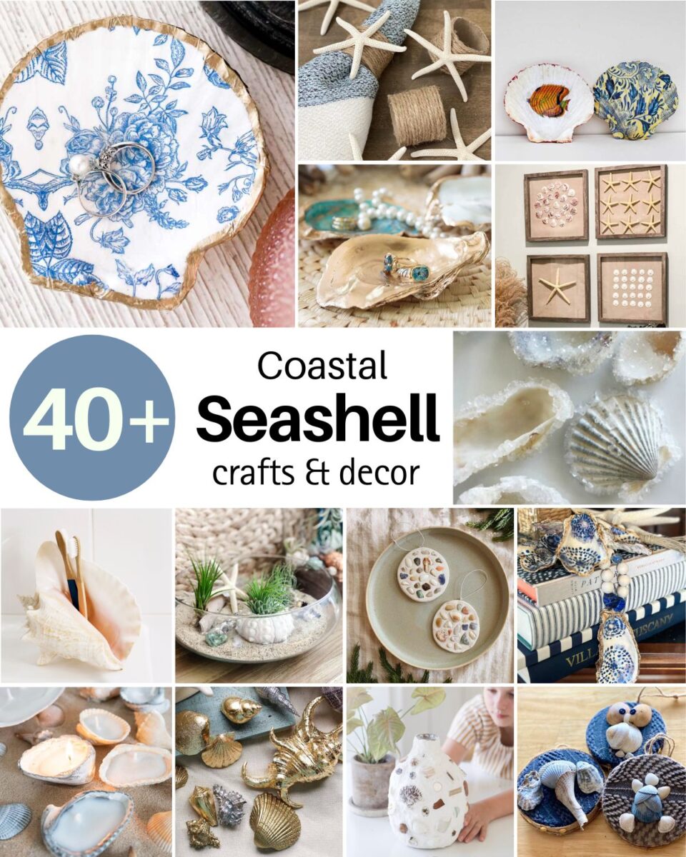 Fall Shell Craft 43 Creative Seashell Crafts & Coastal Decors • Craft Passion