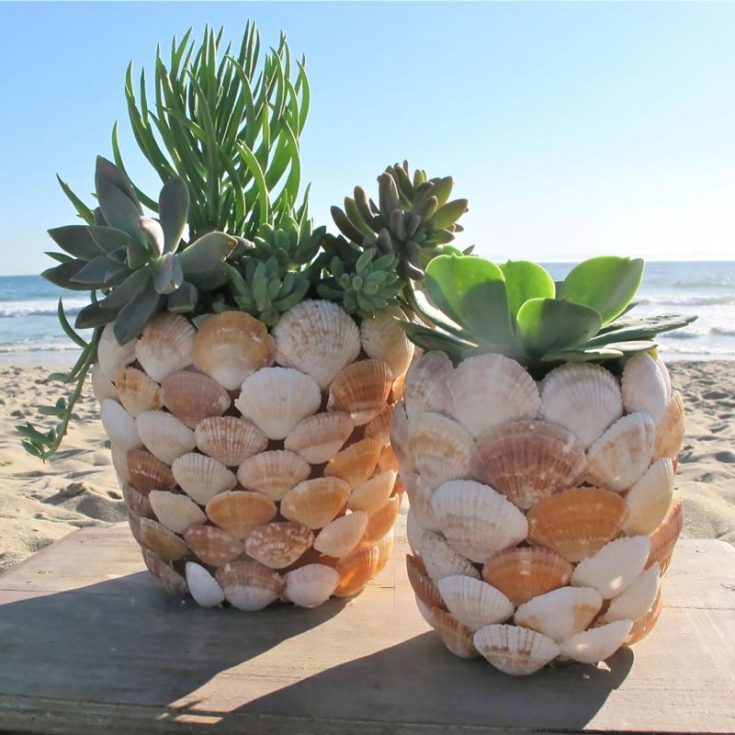 Give your plants a coastal makeover with planters decked out in seashells arranged like shimmering fish scales. This creative touch adds a bit of nautical vibe to your greenery, making your favorite plant displays stand out with seaside style.