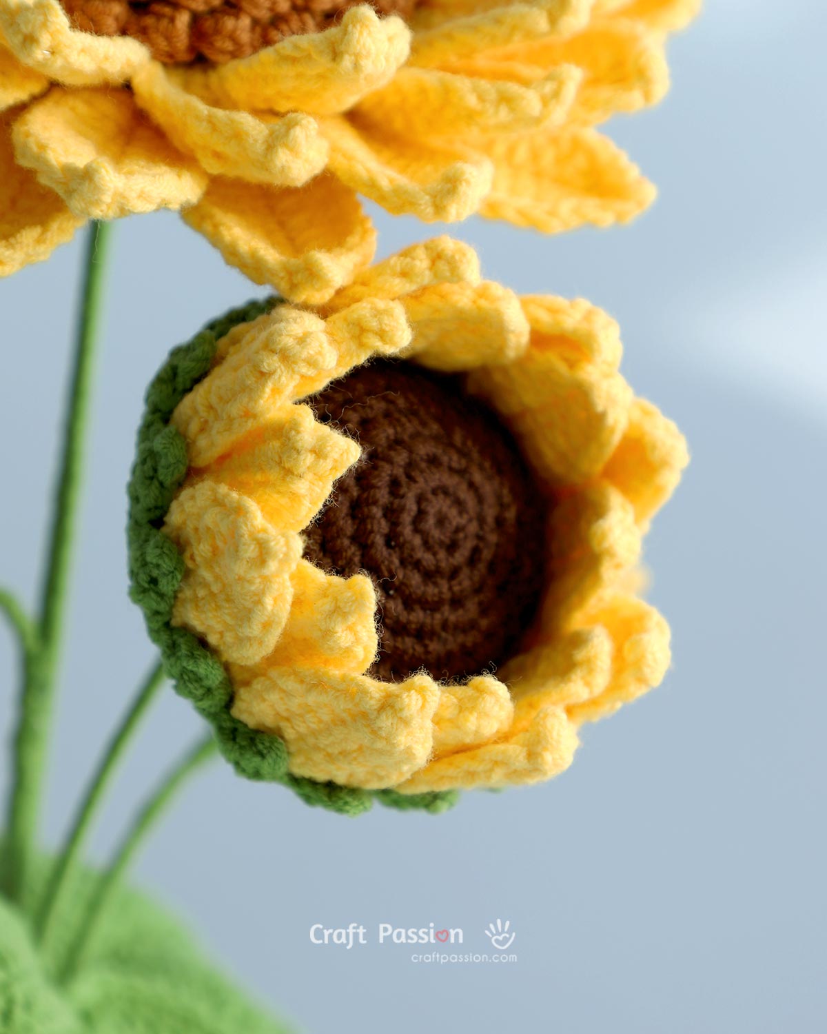 semi bloom crochet sunflower pattern Half-bloom crochet sunflower with curved yellow petals and green sepals