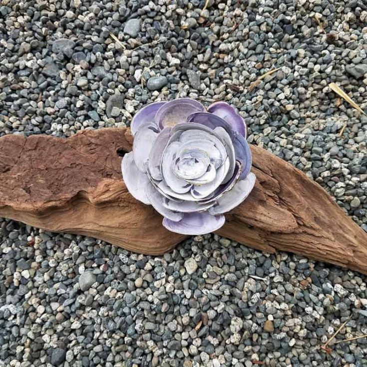 Create a beautiful beach-inspired flower with seashells that captures the essence of summer. Use hot glue or gorilla glue to secure the shells together so you can display this piece of art in your home.