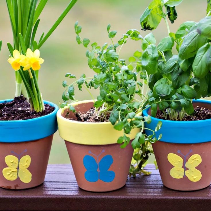 Ceramic flower pots can be quite boring to look at sometimes. So, why not add a splash of your creativity with some simple crafting tools? All you would need are your regular paint supplies to turn a brown pot into a colorful garden!