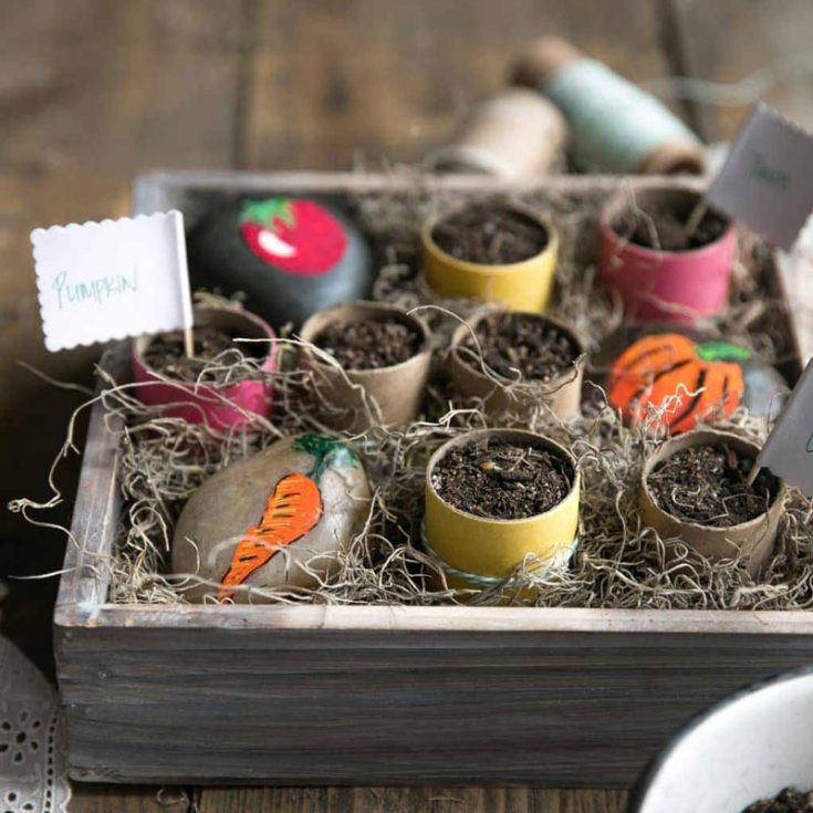Kids are going to love gardening with these toilet paper roll seedling pots. This craft only takes less than 10 minutes to put together, and your kids will love watching their seedlings grow in their own homemade pots!