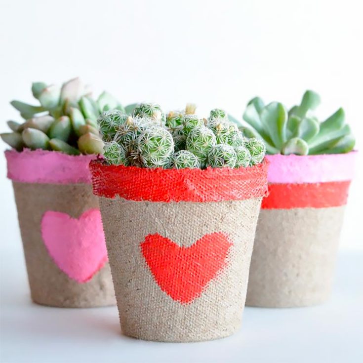 Although flowers are nice and all, get your loved ones pots of succulents that will last way longer! They'll be reminded of your love whenever they water and take care of them.